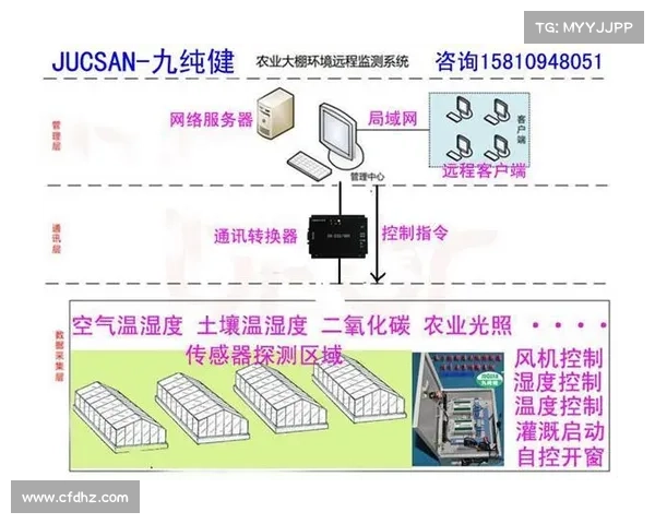 羽毛球拍材料革新新纪元 碳纤维与智能传感器技术深度融合分析